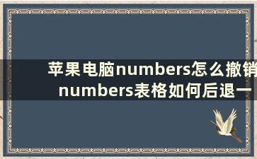 苹果电脑numbers怎么撤销 numbers表格如何后退一步